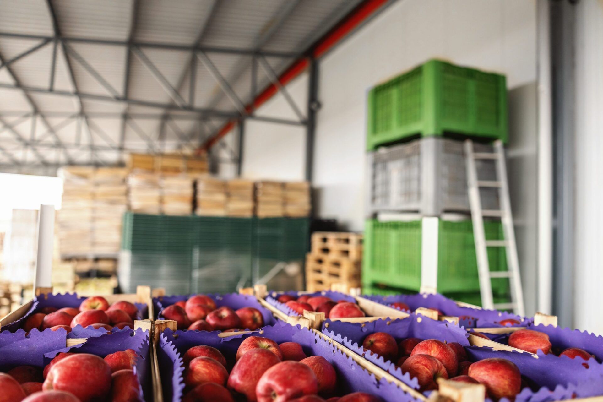 Almacén de fruta con cajas de manzanas Almacén de fruta con cajas de manzanas