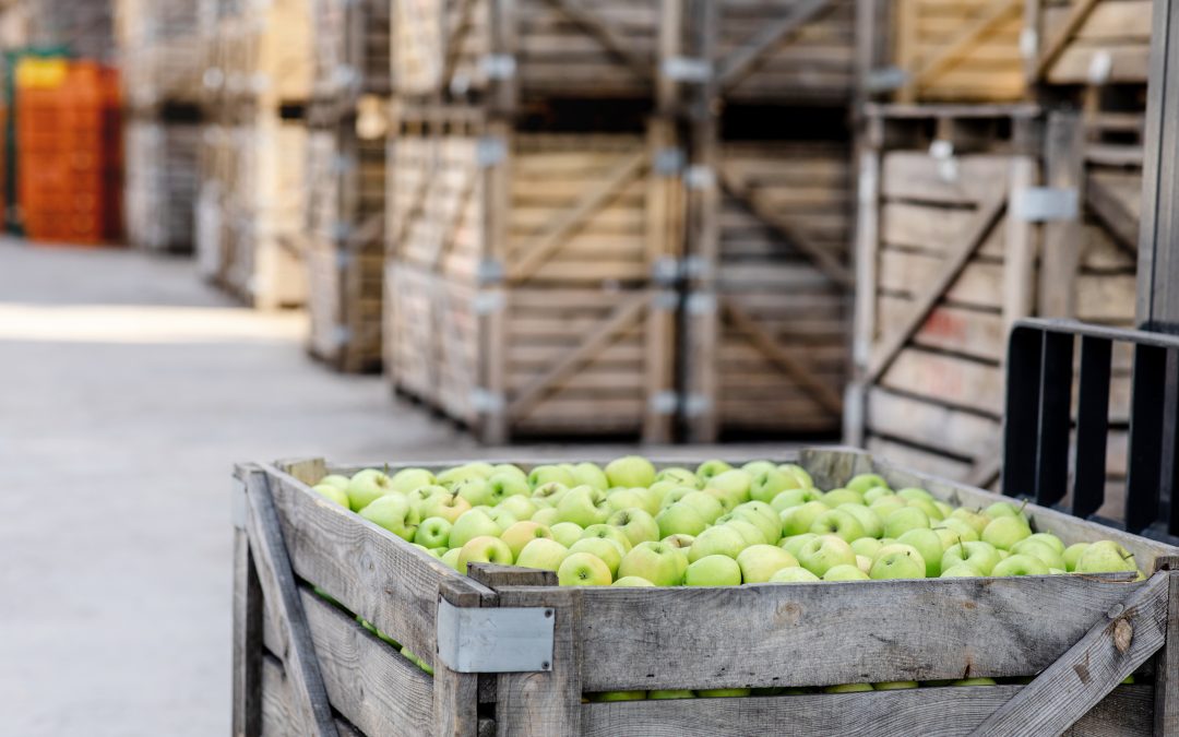 Optimiza la cadena de suministro de frutas con nuestro ERP