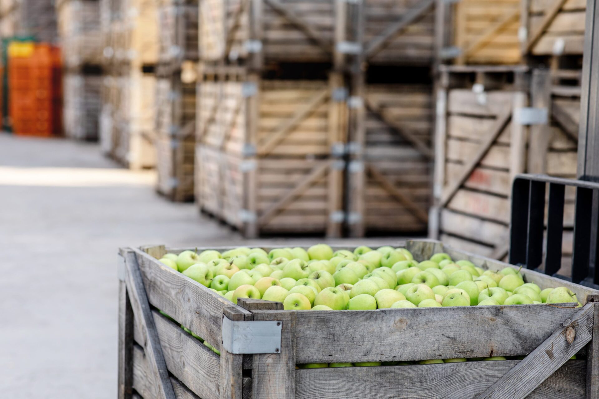 Almacén de fruta con una caja de manzanas Almacén de fruta con una caja de manzanas
