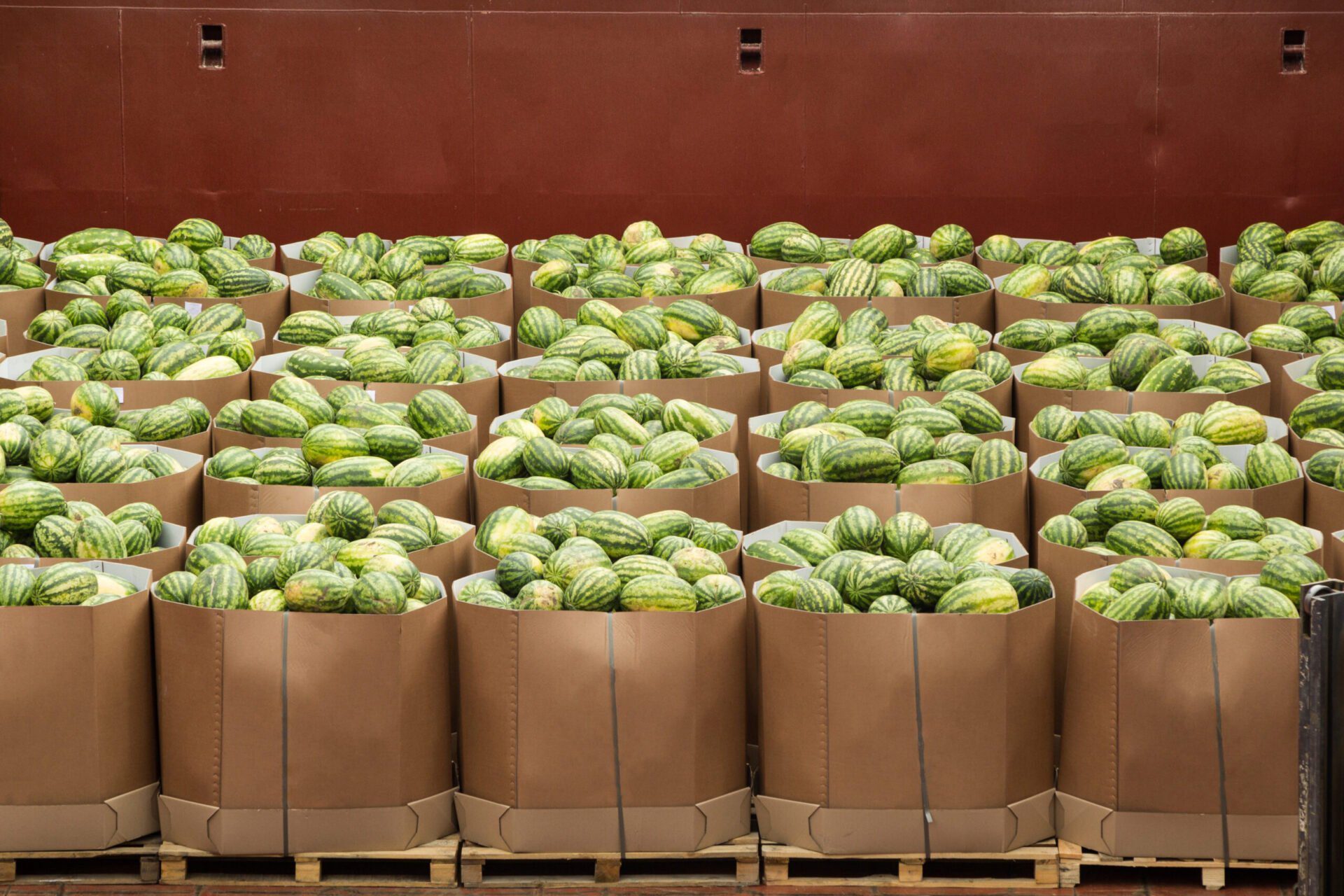 Melones en sacos Melones en sacos
