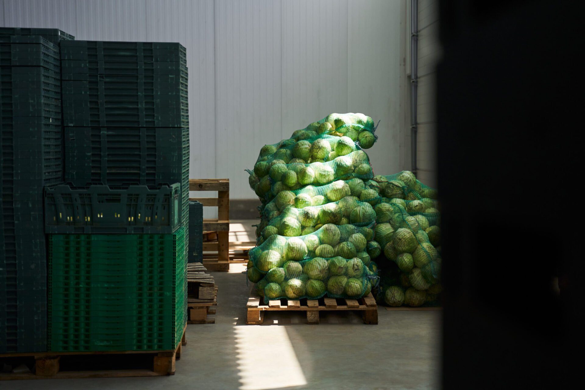 Almacén de verduras Almacén de verduras
