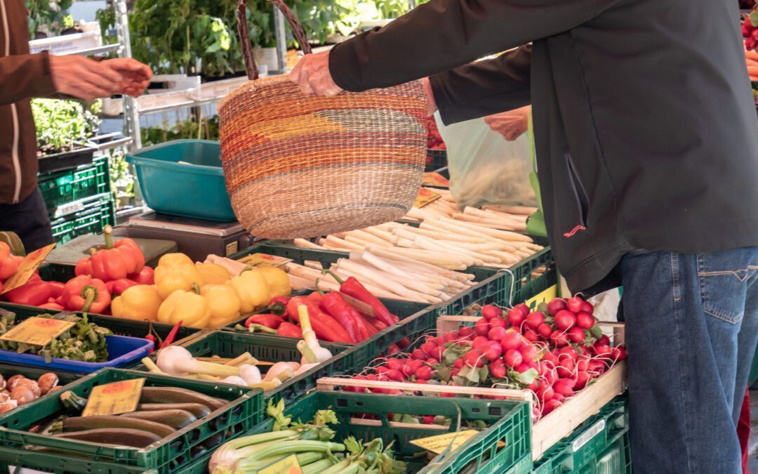 Asegura la trazabilidad alimentaria con nuestro ERP especializado